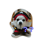 小次郎な日々3（個別スタンプ：6）