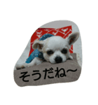 小次郎な日々3（個別スタンプ：11）