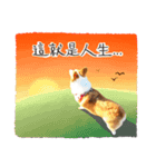 Corgi Yue-yue（個別スタンプ：13）