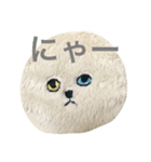 ちょっといらっとするにゃんこスタンプ（個別スタンプ：1）