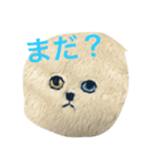 ちょっといらっとするにゃんこスタンプ（個別スタンプ：3）