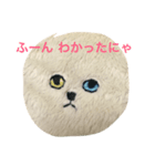 ちょっといらっとするにゃんこスタンプ（個別スタンプ：5）