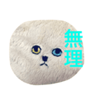 ちょっといらっとするにゃんこスタンプ（個別スタンプ：6）