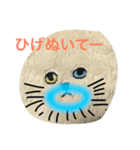 ちょっといらっとするにゃんこスタンプ（個別スタンプ：7）