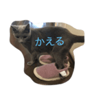 らぴうぴの為のスタンプ、（個別スタンプ：5）