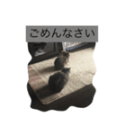 らぴうぴの為のスタンプ、（個別スタンプ：8）