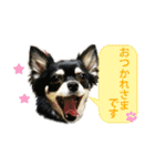 使えるチワワスタンプ（個別スタンプ：5）