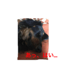 たっくんの独り言（個別スタンプ：3）