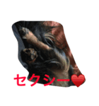 たっくんの独り言（個別スタンプ：5）