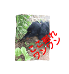 たっくんの独り言（個別スタンプ：7）