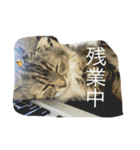 ぼく♀の日常 仕事編①（個別スタンプ：4）