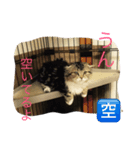 ぼく♀の日常 仕事編①（個別スタンプ：5）