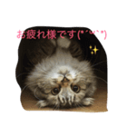 ぼく♀の日常 仕事編①（個別スタンプ：6）
