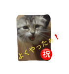 ぼく♀の日常 仕事編①（個別スタンプ：8）