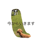つくねの日常（個別スタンプ：13）