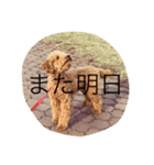 つくねの日常（個別スタンプ：15）