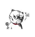Jewliew,why are you so fat？（個別スタンプ：12）