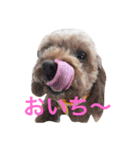 メイプル＆ココア＆ヒナ＆クレア（個別スタンプ：3）