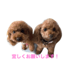 メイプル＆ココア＆ヒナ＆クレア（個別スタンプ：4）