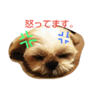はーちゃん。（個別スタンプ：5）