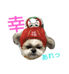 はーちゃん。（個別スタンプ：13）