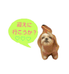 はーちゃん。（個別スタンプ：14）