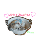 はーちゃん。（個別スタンプ：17）