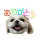 はーちゃん。（個別スタンプ：20）