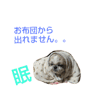 はーちゃん。（個別スタンプ：21）
