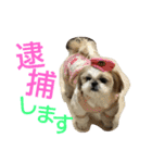 はーちゃん。（個別スタンプ：22）
