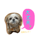 はーちゃん。（個別スタンプ：23）