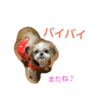 はーちゃん。（個別スタンプ：24）