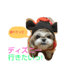はーちゃん。（個別スタンプ：25）