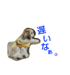 はーちゃん。（個別スタンプ：30）