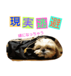 はーちゃん。（個別スタンプ：31）