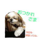 はーちゃん。（個別スタンプ：32）