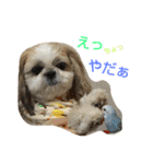 はーちゃん。（個別スタンプ：35）