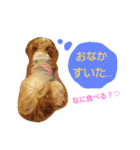はーちゃん。（個別スタンプ：38）
