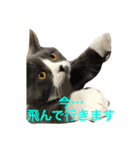 ジュリちゃん（個別スタンプ：2）