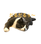 ジュリちゃん（個別スタンプ：4）
