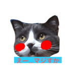 ジュリア〜ノ ❤ ぶみィ〜！（個別スタンプ：2）