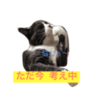 ジュリア〜ノ ❤ ぶみィ〜！（個別スタンプ：4）