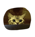 猫のちゃっくのスタンプ（個別スタンプ：2）