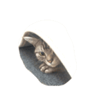 猫のちゃっくのスタンプ（個別スタンプ：8）