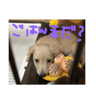 りょりょ（個別スタンプ：4）