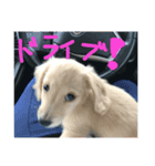 りょりょ（個別スタンプ：5）