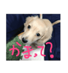 りょりょ（個別スタンプ：6）