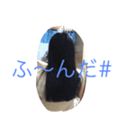 まりまり（個別スタンプ：10）