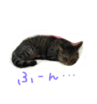 ごましおスタンプ3（個別スタンプ：7）