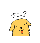 GOLDEN chan（個別スタンプ：1）